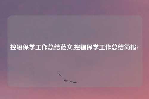 控辍保学工作总结范文,控辍保学工作总结简报?