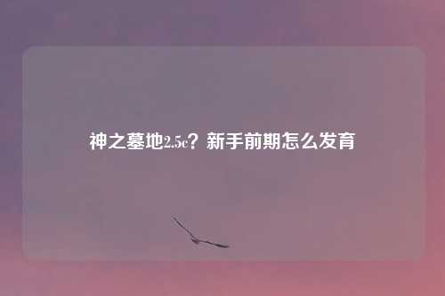 神之墓地2.5c？新手前期怎么发育