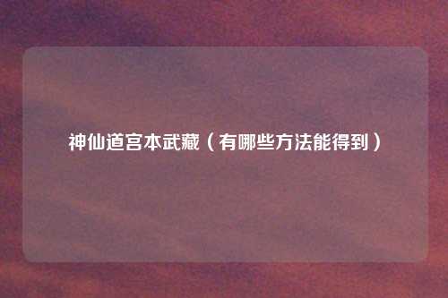 神仙道宫本武藏（有哪些方法能得到）
