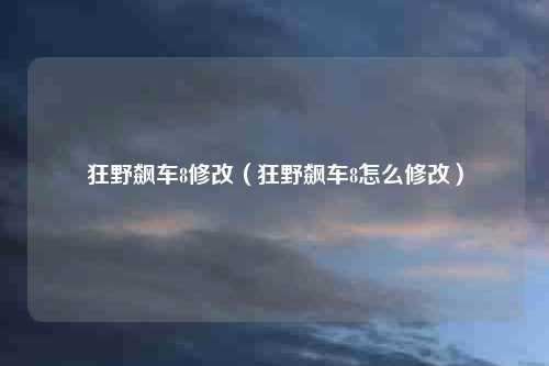 狂野飙车8修改（狂野飙车8怎么修改）