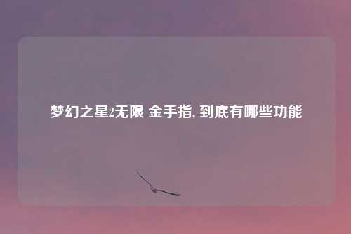 梦幻之星2无限 金手指, 到底有哪些功能