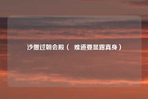 沙僧过朝会殿（  难道要显露真身）