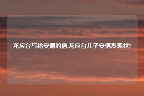 龙应台写给安德的信,龙应台儿子安德烈现状?