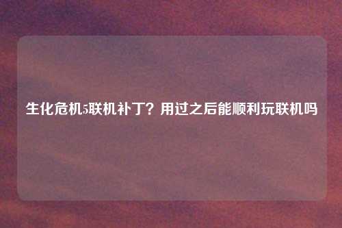 生化危机5联机补丁？用过之后能顺利玩联机吗
