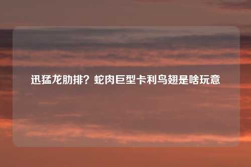 迅猛龙肋排？蛇肉巨型卡利鸟翅是啥玩意