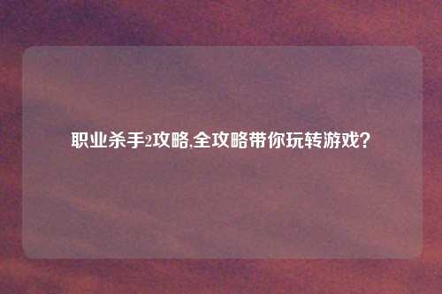 职业杀手2攻略,全攻略带你玩转游戏？