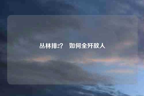 丛林排2？  如何全歼敌人