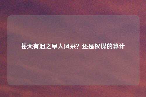 苍天有泪之军人风采？还是权谋的算计