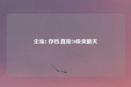 尘埃2 存档,直接70级爽翻天