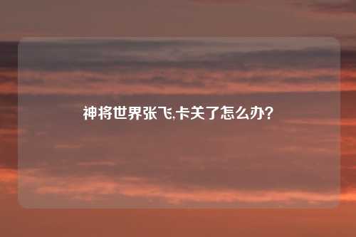 神将世界张飞,卡关了怎么办?