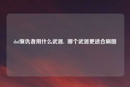 dnf复仇者用什么武器,  哪个武器更适合刷图