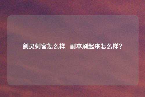 剑灵刺客怎么样,  副本刷起来怎么样？
