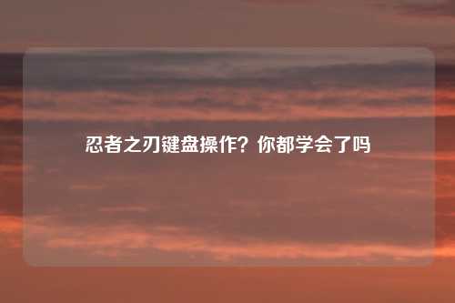 忍者之刃键盘操作?你都学会了吗