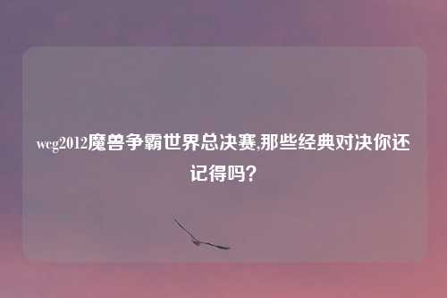 wcg2012魔兽争霸世界总决赛,那些经典对决你还记得吗?