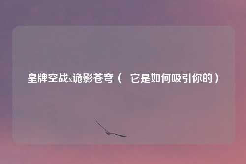 皇牌空战x诡影苍穹( 它是如何吸引你的)