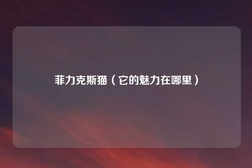菲力克斯猫(它的魅力在哪里)