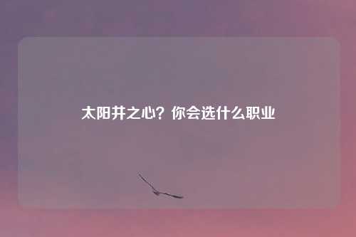 太阳井之心？你会选什么职业