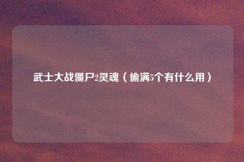 武士大战僵尸2灵魂(偷满5个有什么用)