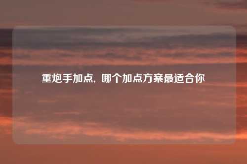 重炮手加点,  哪个加点方案最适合你