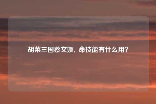 胡莱三国蔡文姬, 命技能有什么用?