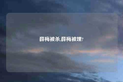 薛梅被杀,薛梅被埋?