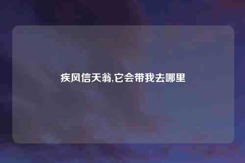 疾风信天翁,它会带我去哪里