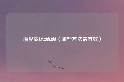 魔界战记2练级（哪些方法最有效）