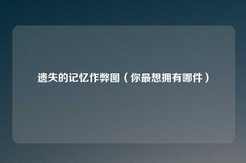 遗失的记忆作弊图（你最想拥有哪件）