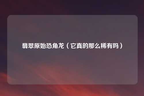 翡翠原始恐角龙（它真的那么稀有吗）