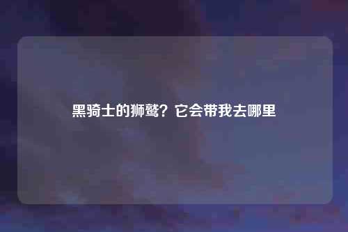 黑骑士的狮鹫？它会带我去哪里