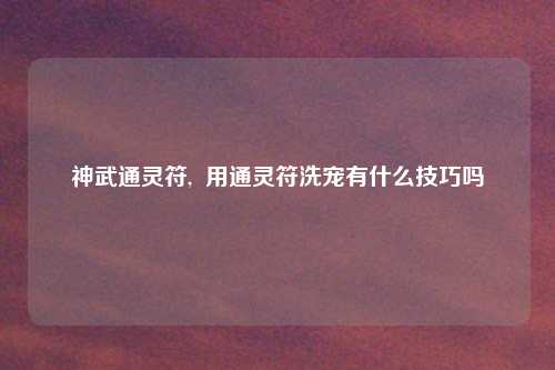 神武通灵符,  用通灵符洗宠有什么技巧吗