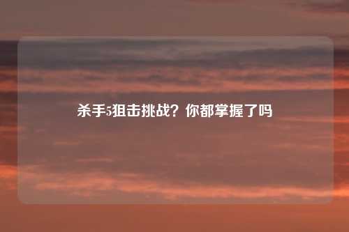 杀手5狙击挑战？你都掌握了吗