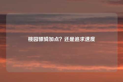 桃园骠骑加点?还是追求速度