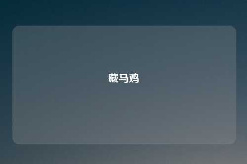 藏马鸡