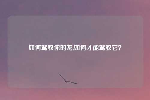 如何驾驭你的龙,如何才能驾驭它?