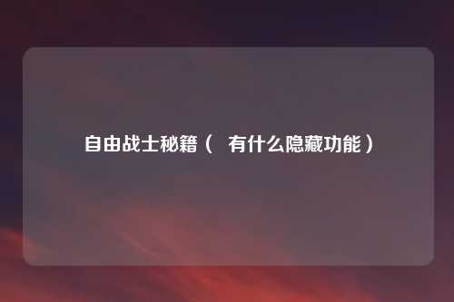 自由战士秘籍（  有什么隐藏功能）