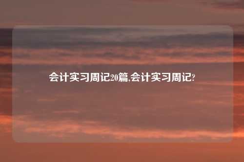 会计实习周记20篇,会计实习周记?