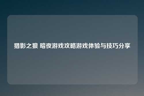 猎影之狼 暗夜游戏攻略游戏体验与技巧分享