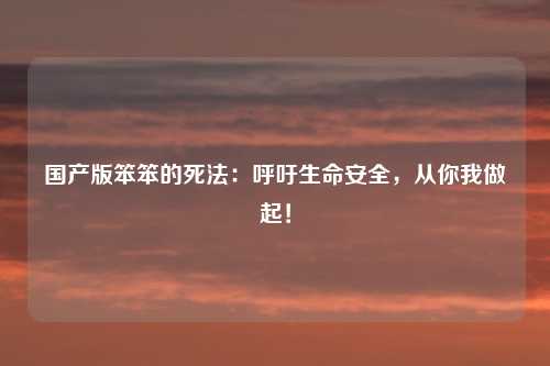 国产版笨笨的死法：呼吁生命安全，从你我做起！
