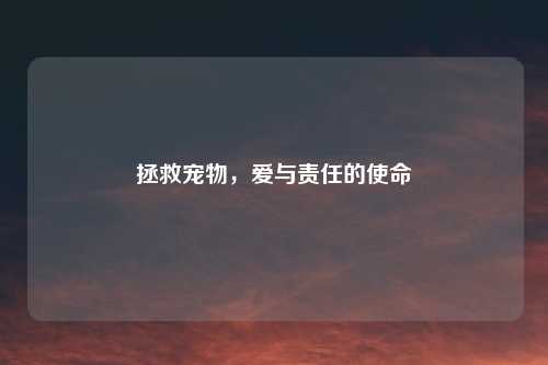 拯救宠物，爱与责任的使命