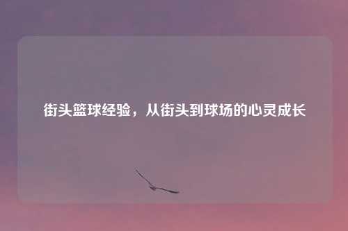街头篮球经验，从街头到球场的心灵成长