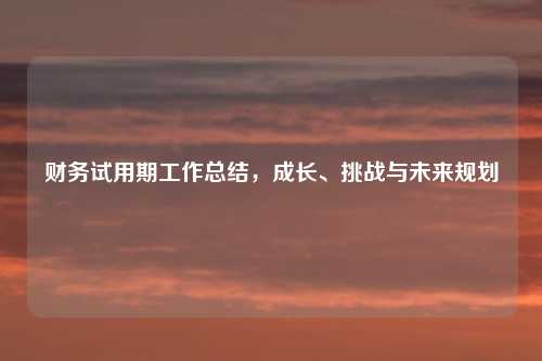 财务试用期工作总结，成长、挑战与未来规划