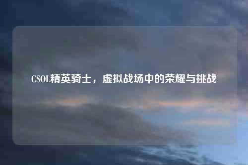 CSOL精英骑士,虚拟战场中的荣耀与挑战