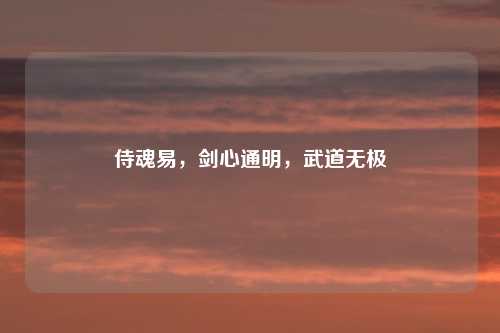 侍魂易，剑心通明，武道无极