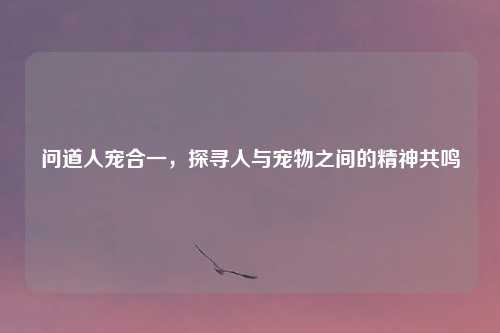 问道人宠合一，探寻人与宠物之间的精神共鸣