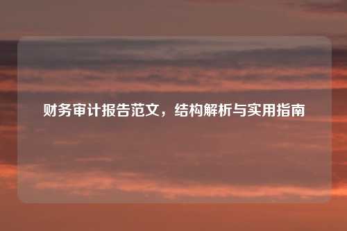 财务审计报告范文,结构解析与实用指南