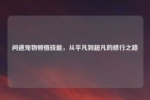 问道宠物顿悟技能，从平凡到超凡的修行之路
