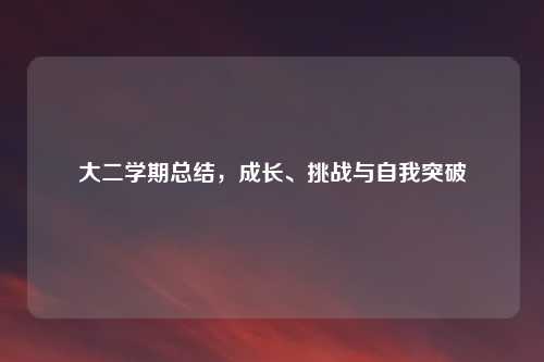 大二学期总结，成长、挑战与自我突破