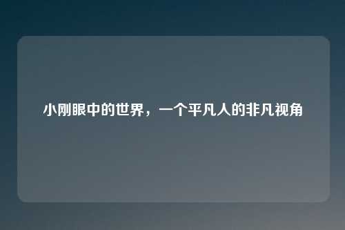 小刚眼中的世界,一个平凡人的非凡视角