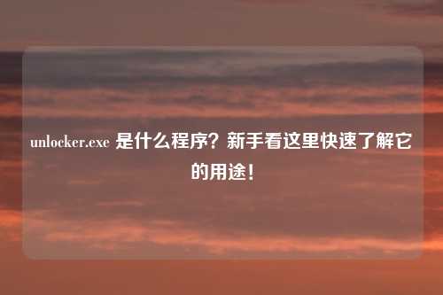 unlocker.exe 是什么程序？新手看这里快速了解它的用途！